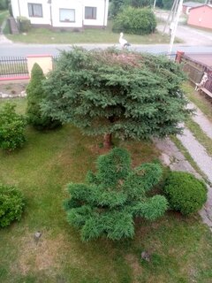 IMG_20210702_193227.jpg