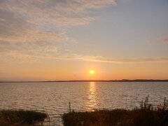 20210720_201626.jpg