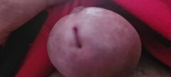 20210721_090652.jpg