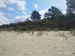 IMG_20210721_121740.jpg