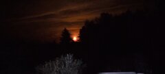 20210428_230643.jpg