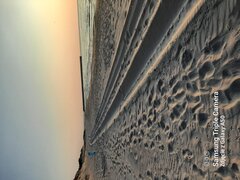 20210722_202551.jpg