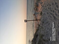 20210722_202423.jpg