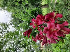 20210723_124241.jpg
