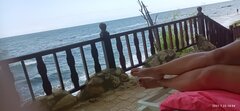 IMG_20210723_145420.jpg