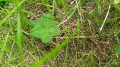 IMG_20200721_113654.jpg