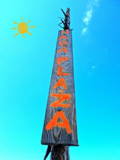 20210720_133117_01.jpg