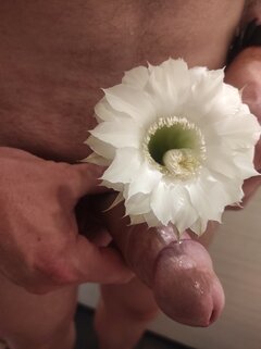 IMG_20210724_204510.jpg