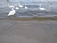 IMG_20210725_135742899.jpg