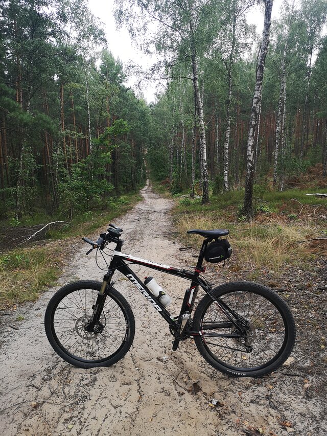 MARCIN0440