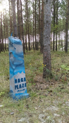 IMAG0238.jpg