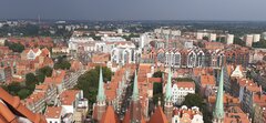 20210726_173930.jpg