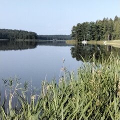 IMG_20210724_074527.jpg