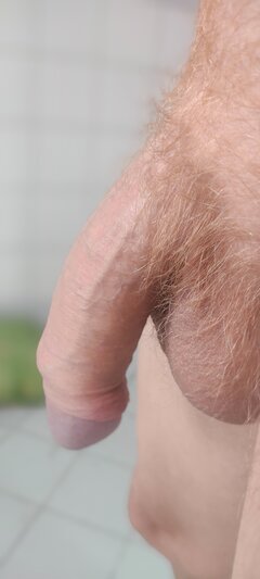 IMG_20210727_085301.jpg