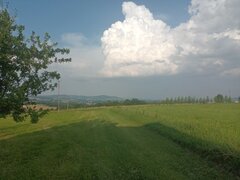 IMG_20210726_184310.jpg