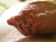 28A3E33A-34BF-4665-9CF9-FA891B52232B.jpeg