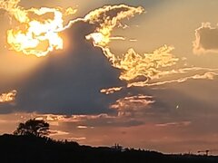 20210728_202223.jpg