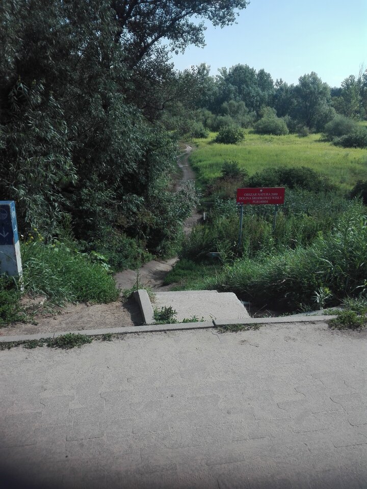 2021-07-2909.44.51655924341.jpg - Cezary120