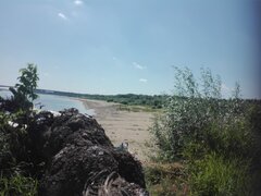 2021-07-2911.46.21-276006768.jpg