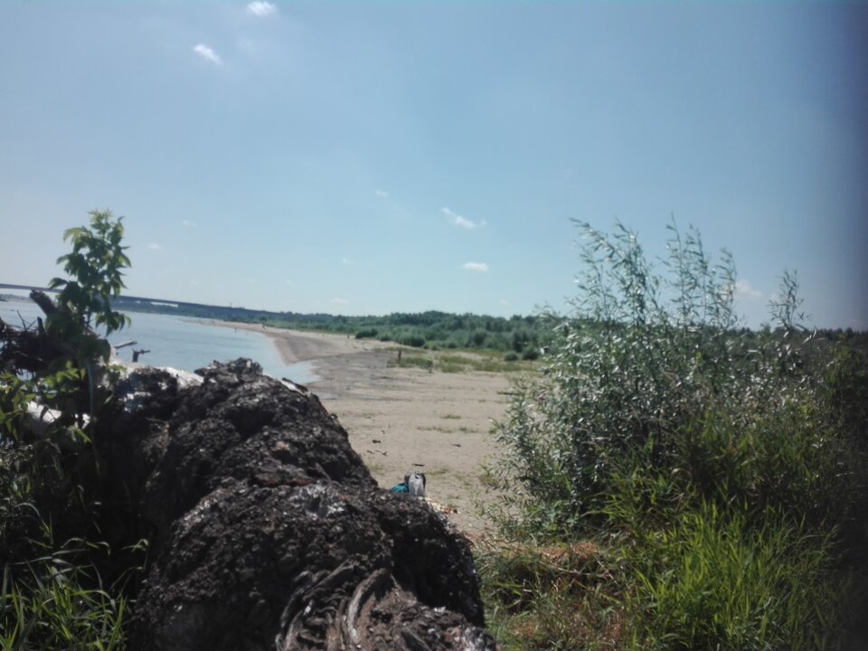 2021-07-2911.46.21-276006768.jpg - Cezary120