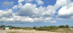 IMG_20210729_105423.jpg