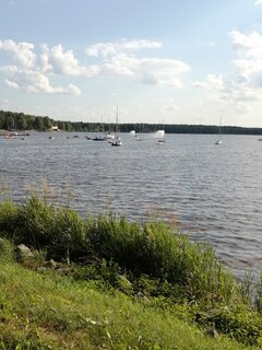 IMG_20210729_172056.jpg