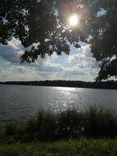 IMG_20210729_172213.jpg