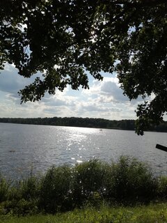 IMG_20210729_171923.jpg