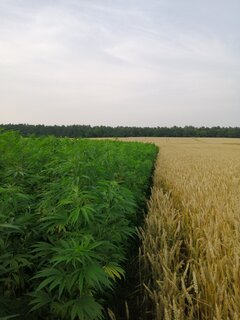 IMG_20210714_185436.jpg