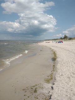 IMG_20210729_125844.jpg