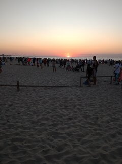 IMG_20210730_204433.jpg