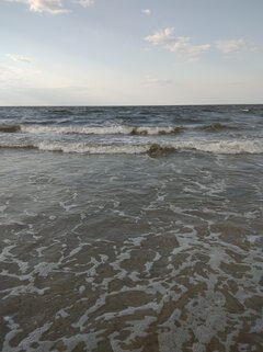 IMG_20210731_181959.jpg