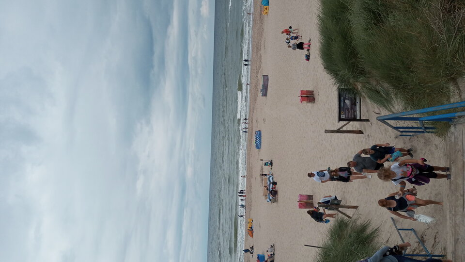 20210801_140705.jpg - Mrowka72