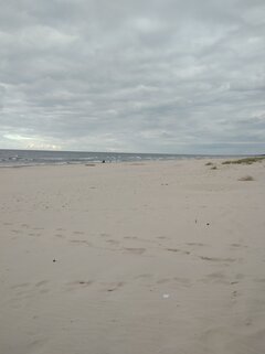 IMG_20210802_183828.jpg