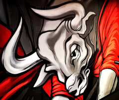 Bull