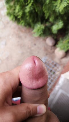 IMG_20210805_074142.jpg