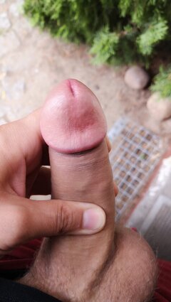 IMG_20210805_074145.jpg