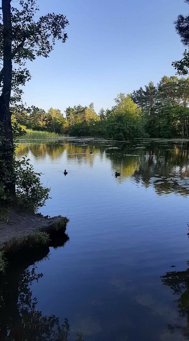 masturbantka60