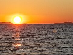 20210806_200813.jpg