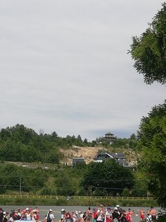 IMG_20210808_131246.jpg