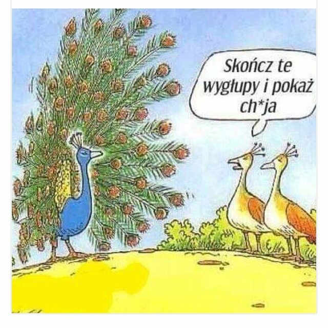 PiotrGda