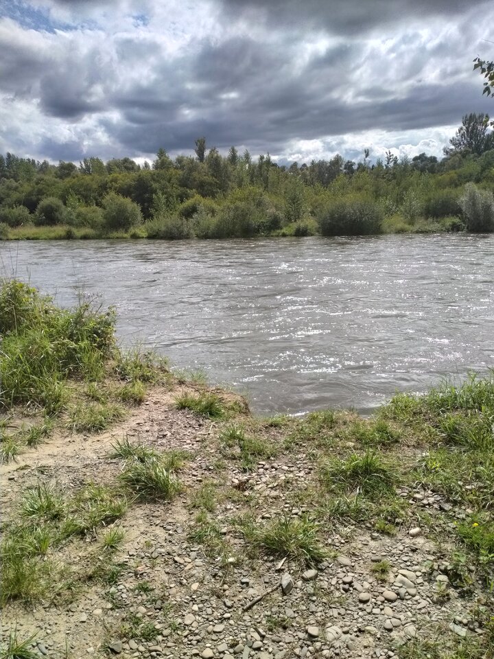 IMG20210808145704.jpg - maniana35