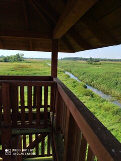 IMG_20210808_163438.jpg