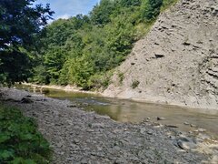 IMG_20210808_151206.jpg