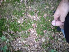IMG_20210808_192111.jpg