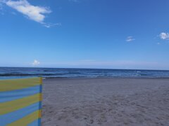 IMG_20210809_115235.jpg