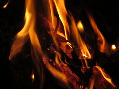 IMG_0008.jpeg
