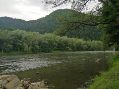 IMG_20210703_130234.jpg