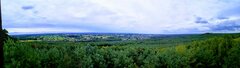 IMG_20200830_123555.jpg