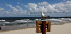 IMG_20210719_120416.jpg